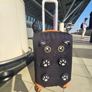 Taispo exhibition (47)